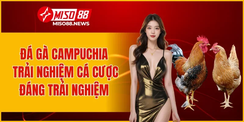 Đá Gà Campuchia